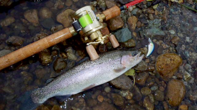 クランクベイトでニジマスを釣る